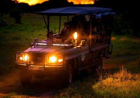 safari tanzania nocturno